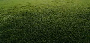 what is the best base for artificial turf