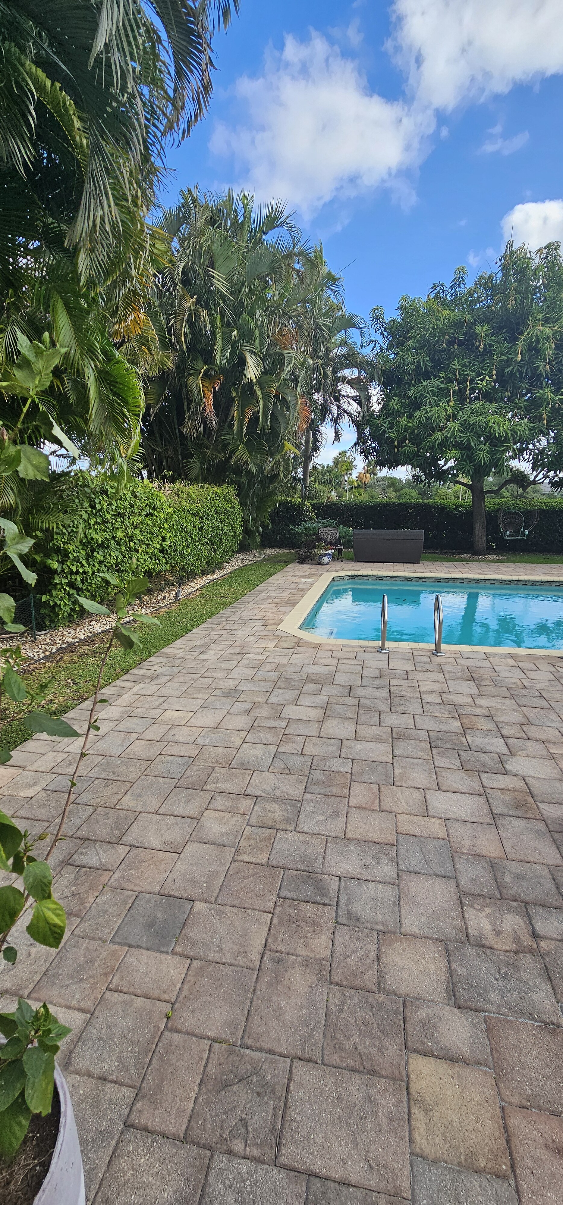 Finished turf and landscape project