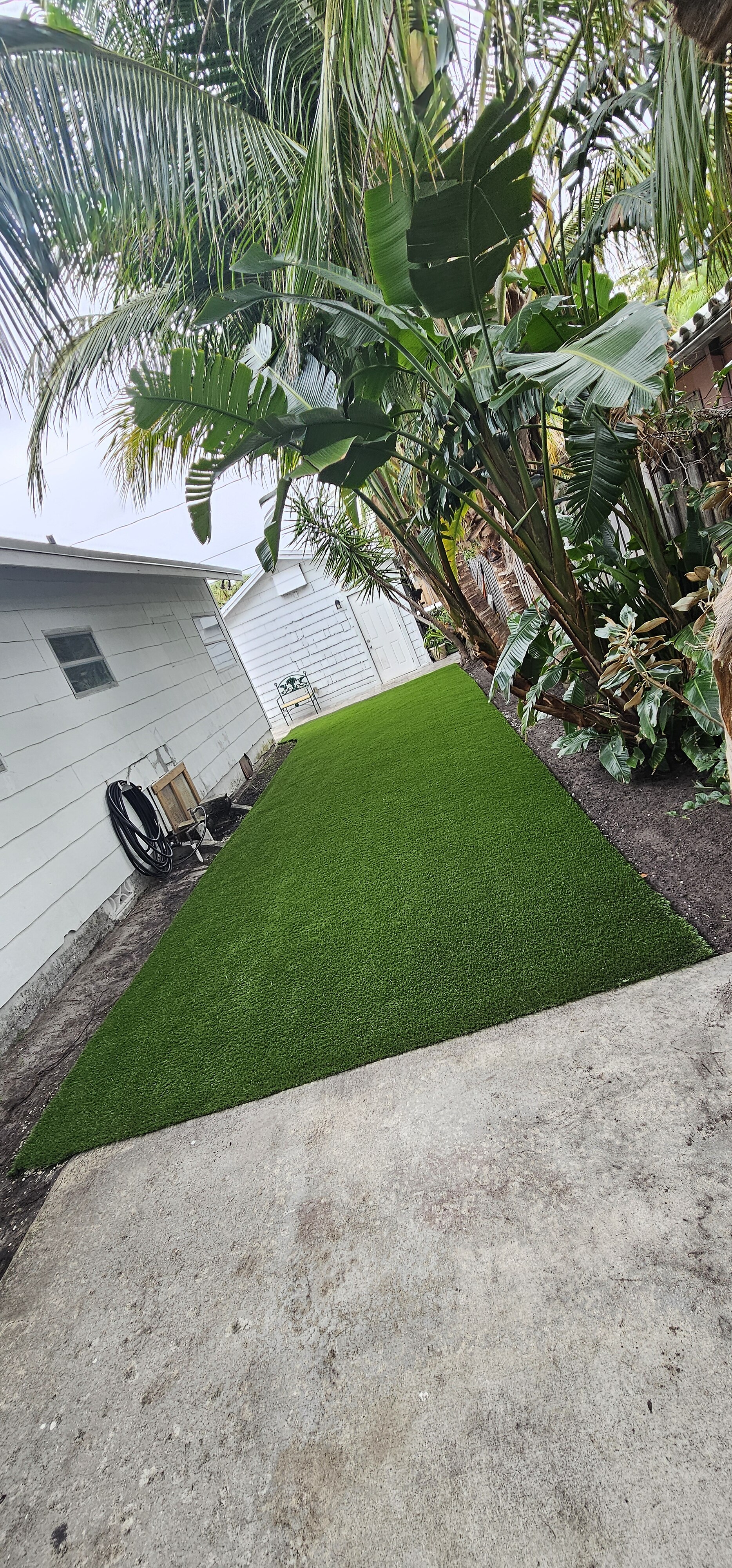 Fenced backyard turf