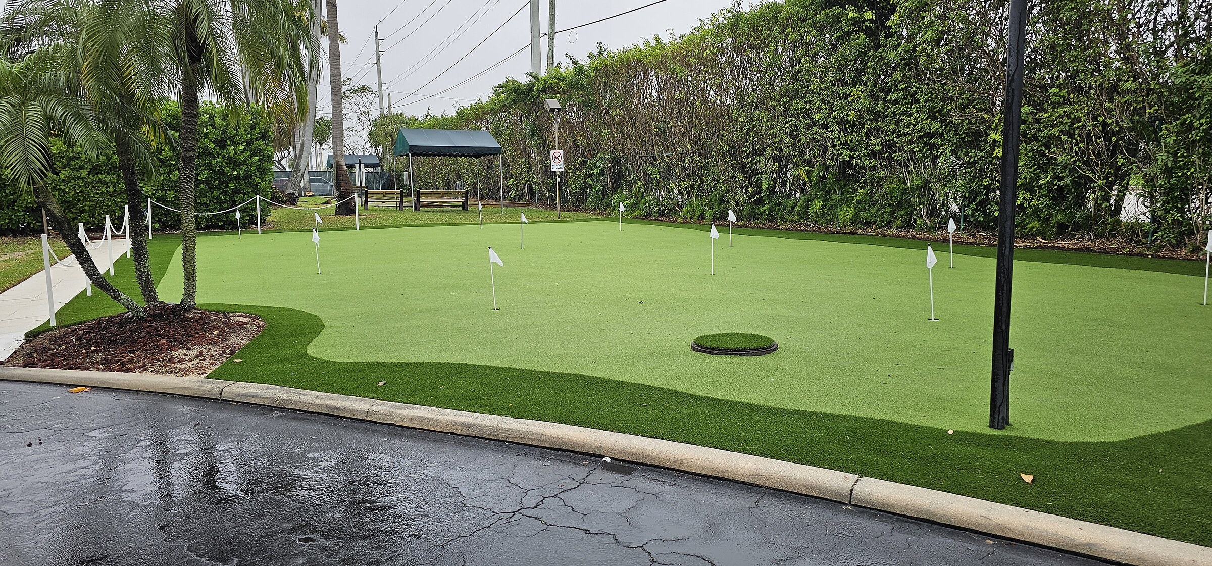 Custom backyard putting green