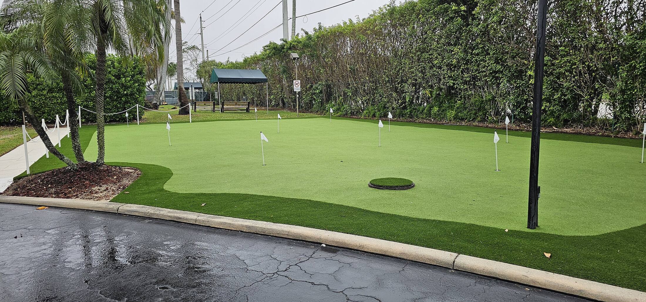 Custom backyard putting green